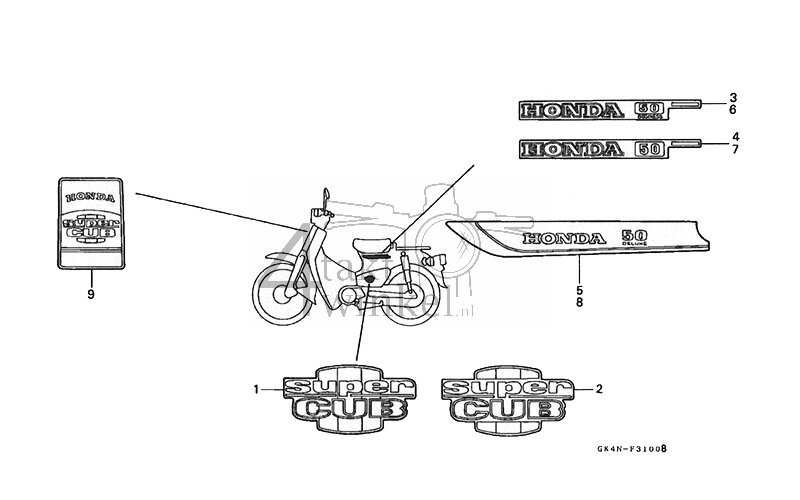 F31 - Striping (C50N-P) (B1/D1/S1)