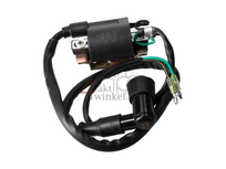 Bobine universeel 12v CDI met bout